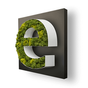 PR-13-FACE-MOUSSE-NORVEGE-CHANT-ALU-ACIER